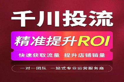 某电商平台充值返点活动用户行为分析